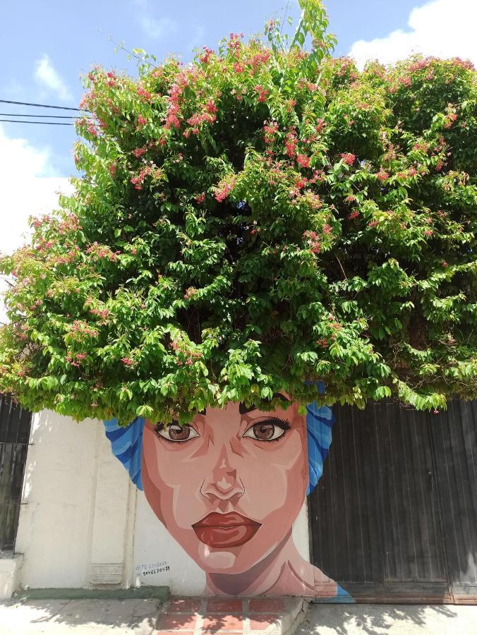 El Habitante Casa Cultural & Hostal Ciénaga Екстериор снимка